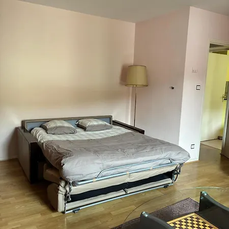 Apartment Spacieux 9 Personnes - Saint Joseph Des Bruyeres 1814 Remiremont