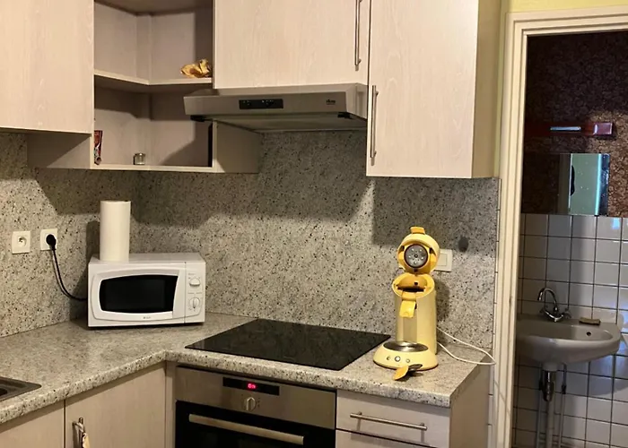 公寓 Spacieux 8 Personnes - Saint Joseph Des Bruyeres 1814 *