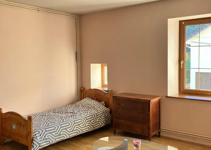 Spacieux 8 Personnes - Saint Joseph Des Bruyeres 1814 公寓 勒米尔蒙